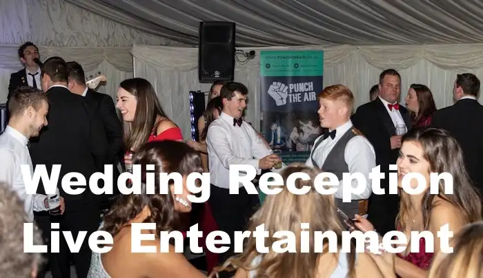 Wedding Reception Live Entertainment